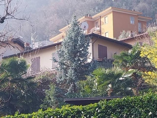 Villa Schiera in vendita a Oliveto Lario, Lombardia