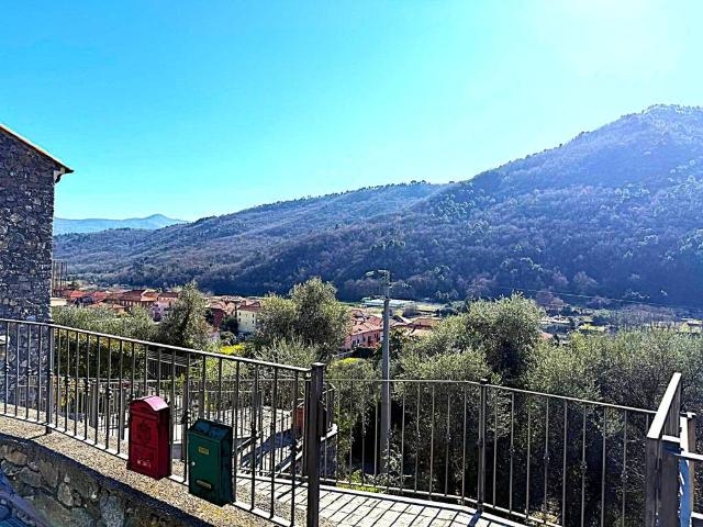 Villa Schiera in vendita a Ortovero, Liguria