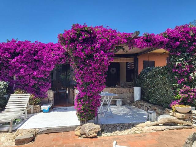 Villa Schiera in vendita a Palau, Sardigna/Sardegna