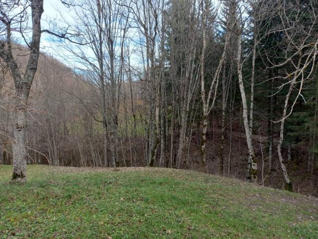 Villa Schiera in vendita a Unione dei comuni del Frignano, Pievepelago