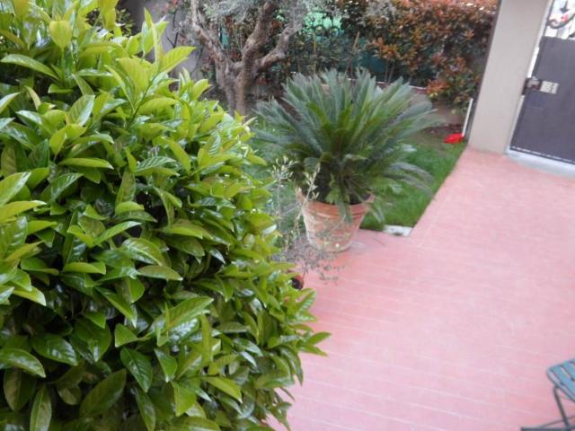 Villa Schiera in vendita a Poggetto, Poggio A Caiano
