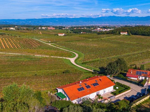 Villa Schiera in vendita a Quarrata, Pistoia