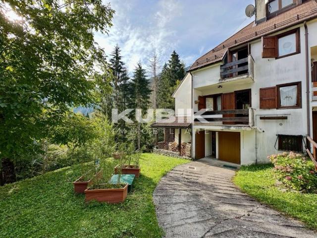 Villa Schiera in vendita a Zovello / Zuviel, Ravascletto / Ravasclêt