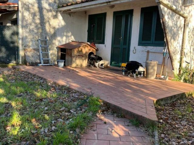 Villa Schiera in vendita a Unione di Comuni Valdarno e Valdisieve, Reggello