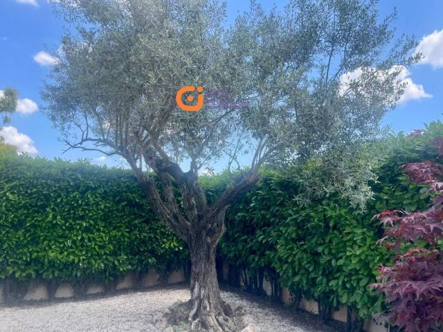 Villa Schiera in vendita a Castel di Decima, Montecompatri