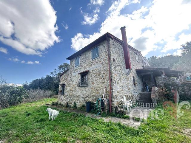 Villa Schiera in vendita a Rosignano Marittimo, Toscana