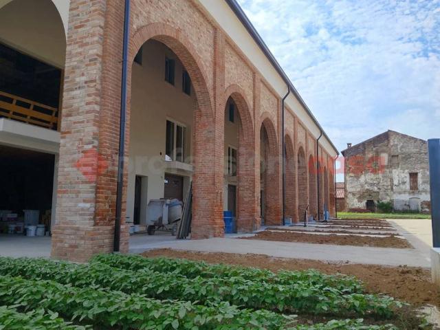 Villa Schiera in vendita a Roveredo Di Guà, Veneto