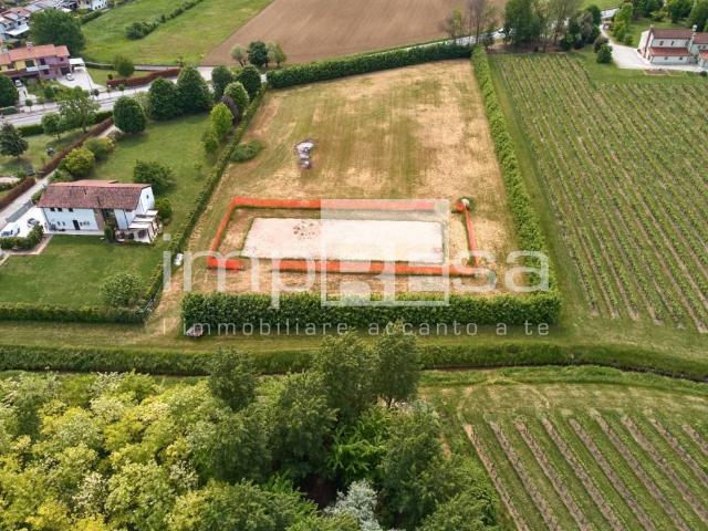 Villa Schiera in vendita a Salgareda, Veneto
