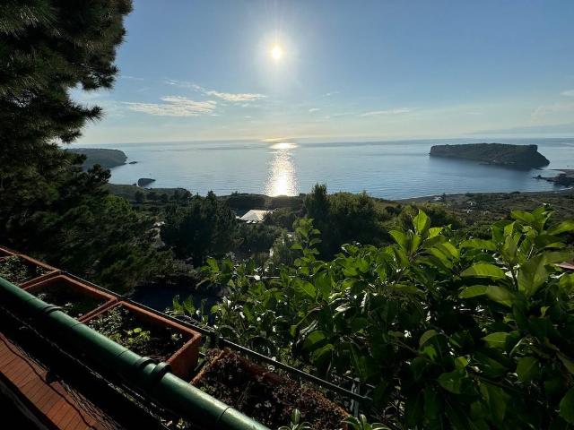 Villa Schiera in vendita a Calabria, Cosenza