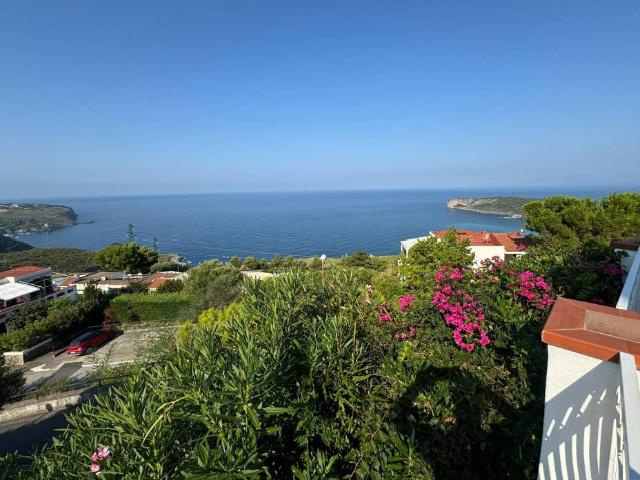 Villa Schiera in vendita a Calabria, Cosenza