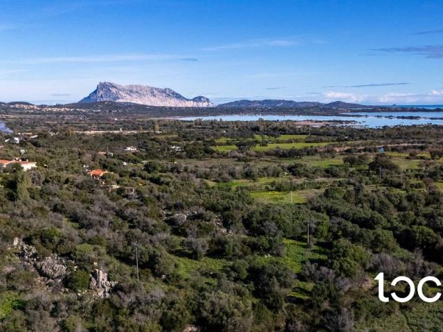 Villa Schiera in vendita a Puntaldia, Sardigna/Sardegna