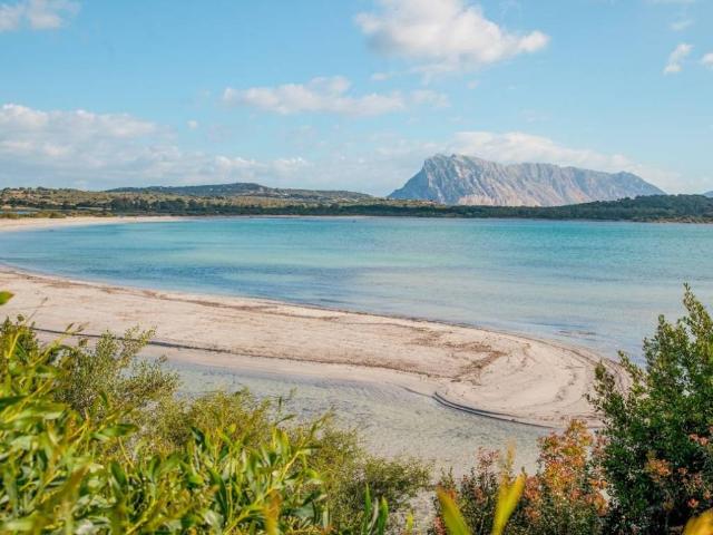 Villa Schiera in vendita a Puntaldia, Sardigna/Sardegna