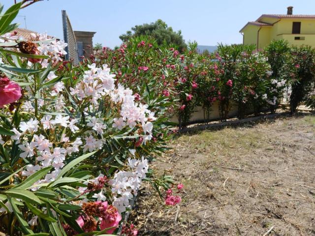 Villa Schiera in vendita a Sant'anna Arresi, Sardigna/Sardegna