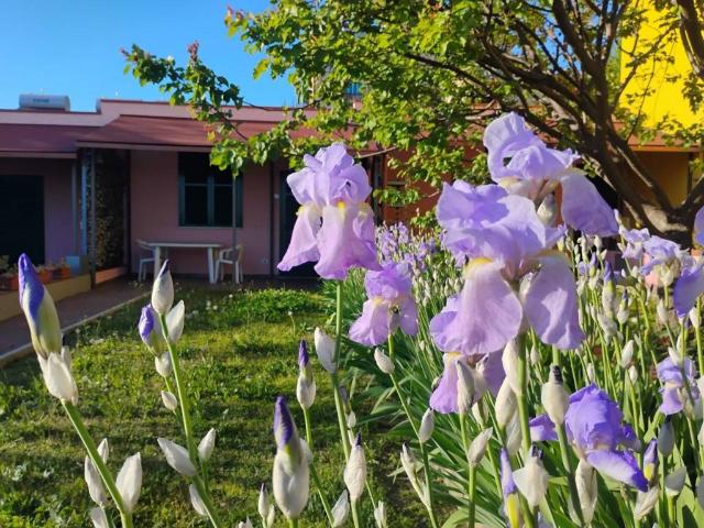 Villa Schiera in vendita a Albisola Capo, Liguria