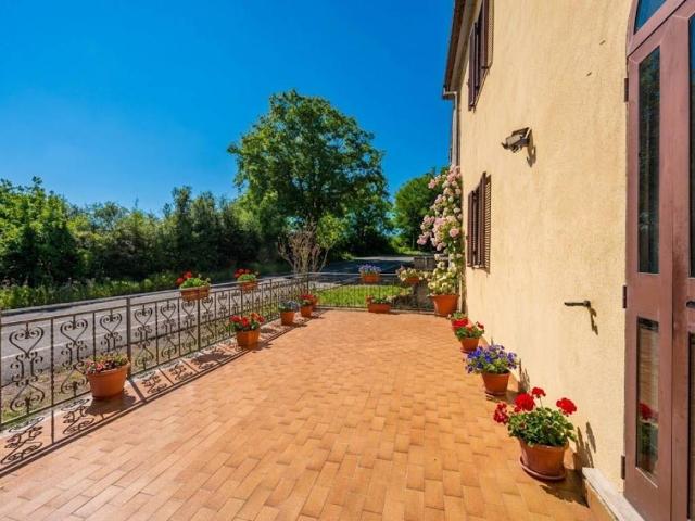 Villa Schiera in vendita a Scansano, Toscana