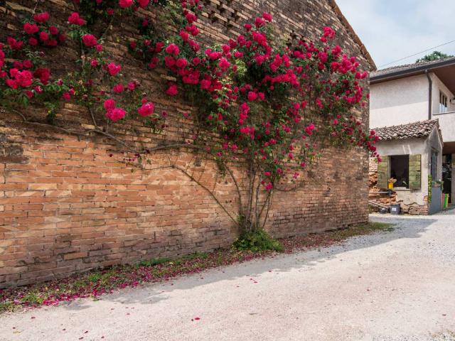 Villa Schiera in vendita a Stanghella, Veneto