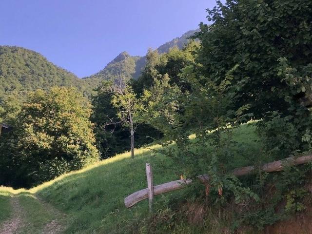 Villa Schiera in vendita a Valli Del Pasubio, Veneto