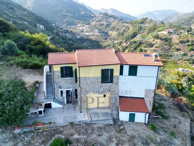 Villa Schiera in vendita a Zanin, Ventimiglia