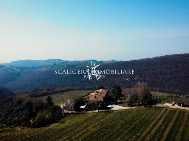 Villa Schiera in vendita a Nord-Ovest, Brenzone