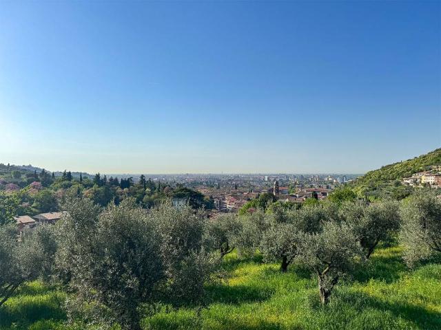 Villa Schiera in vendita a Quinzano, Brenzone