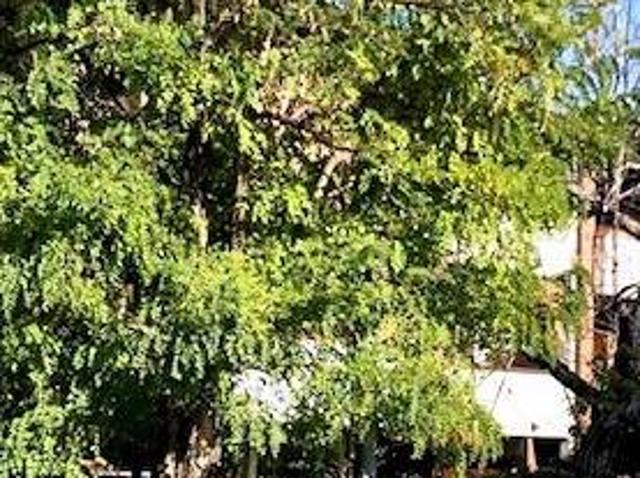 Villa Schiera in vendita a Unione di comuni Terre di Castelli, Vignola
