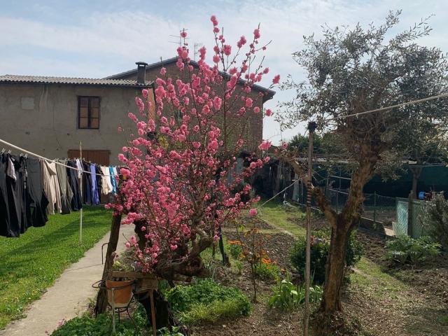 Casa in vendita a Nuovo Circondario Imolese, Mordano