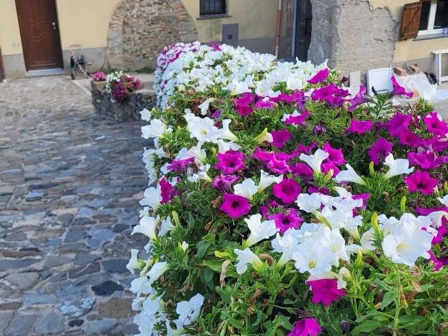 Casa in vendita a Battipagliano, Pignone