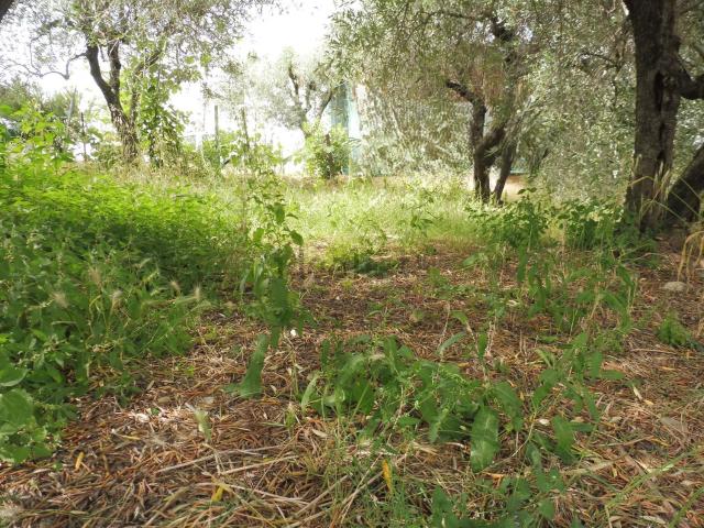 Casa in vendita a Unione dei Comuni Circondario dell'Empolese Valdelsa, Empoli