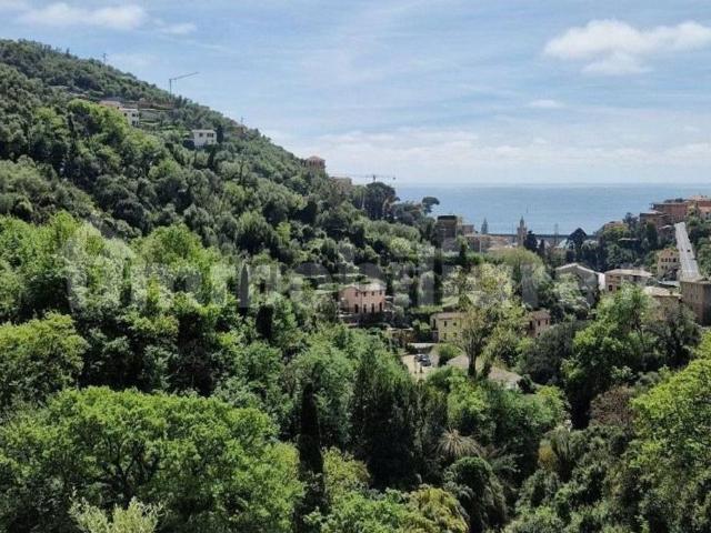 Casa in vendita a Oliveto, Zoagli