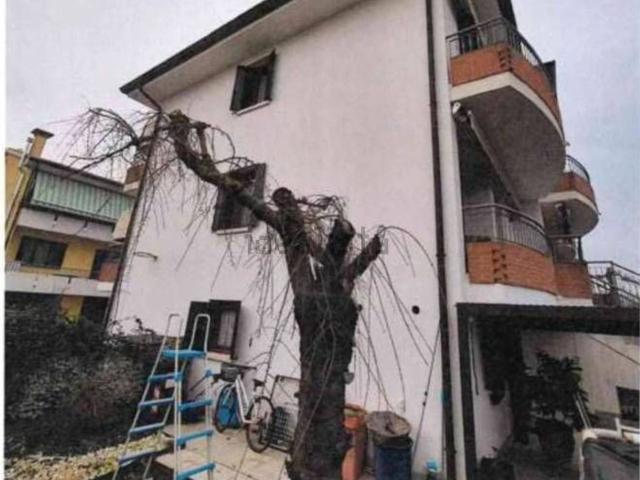 Casa in vendita a Musile Di Piave, Veneto