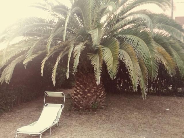 Casa in vendita a Oltrarno, Calcinaia