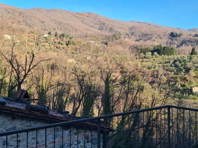 Casa in vendita a Collecchio, Pescia