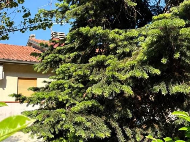 Casa in vendita a Unione dei comuni del Distretto Ceramico, Fiorano Modenese