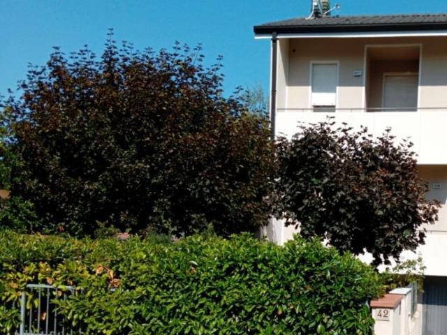 Casa in vendita a Unione Comuni Modenesi Area Nord, Mirandola