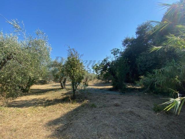 Casa in vendita a Rosignano Marittimo, Toscana