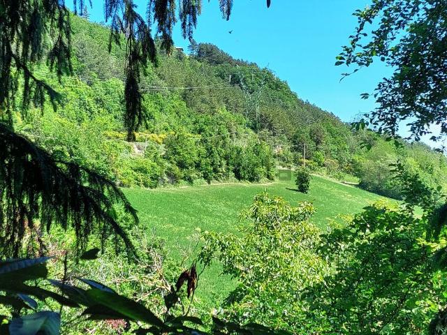 Casa in vendita a Unione dei comuni Savena-Idice, Monterenzio