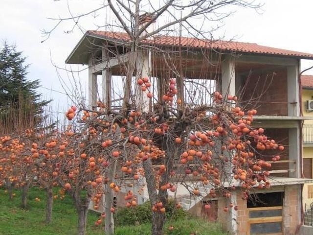 Casa in vendita a San Martino Sulla, Abruzzo