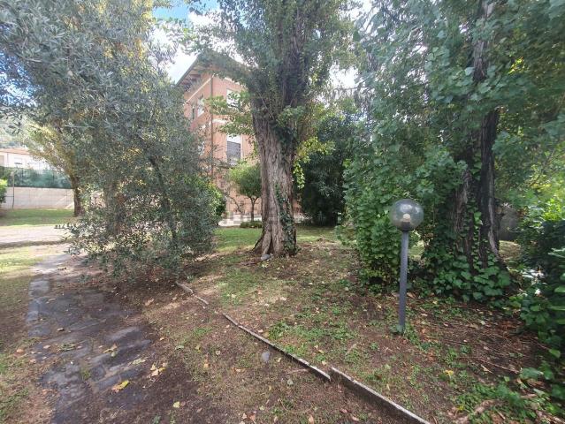 Casa in vendita a Tonfano, Toscana