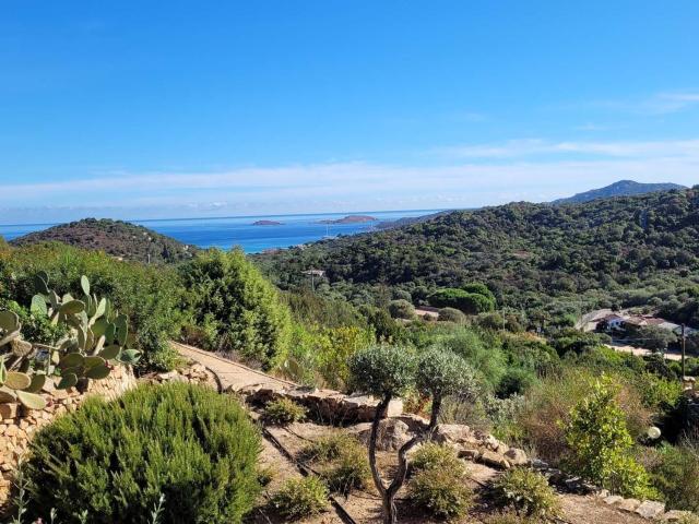 Casa in vendita a Golfo Pevero