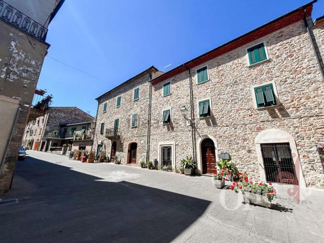 Casa in vendita a Sasso Pisano, Castelnuovo di Val di Cecina