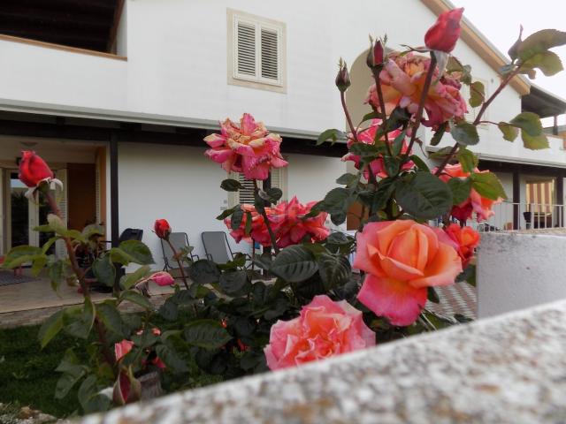 Casa in vendita a Policoro, Basilicata