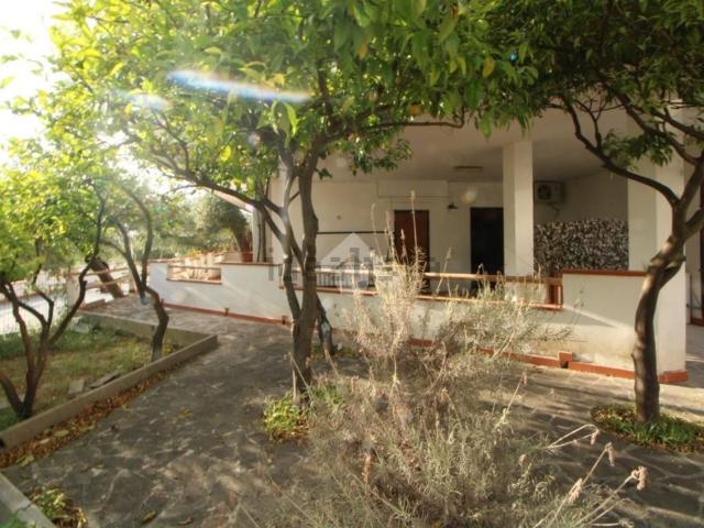 Casa in vendita a Centola, Campania