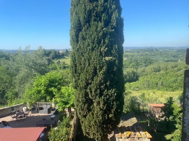 Casa in vendita a San Miniato Basso, San Miniato