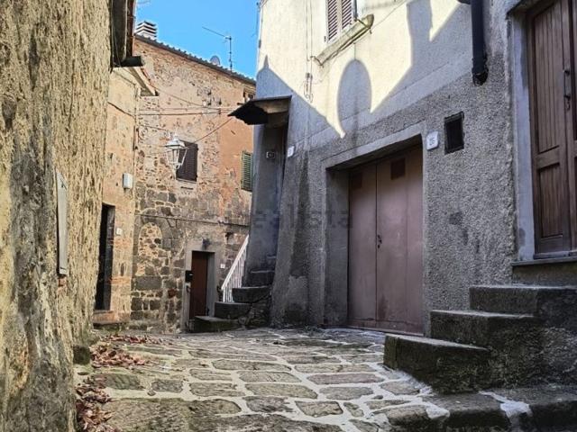 Casa in vendita a Piancastagnaio, Toscana
