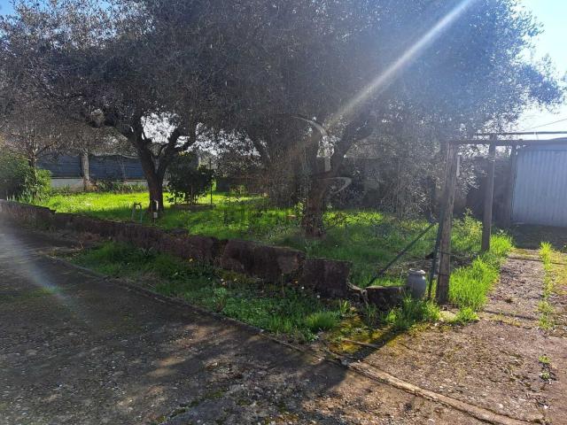 Casa in vendita a Dogana, Luni