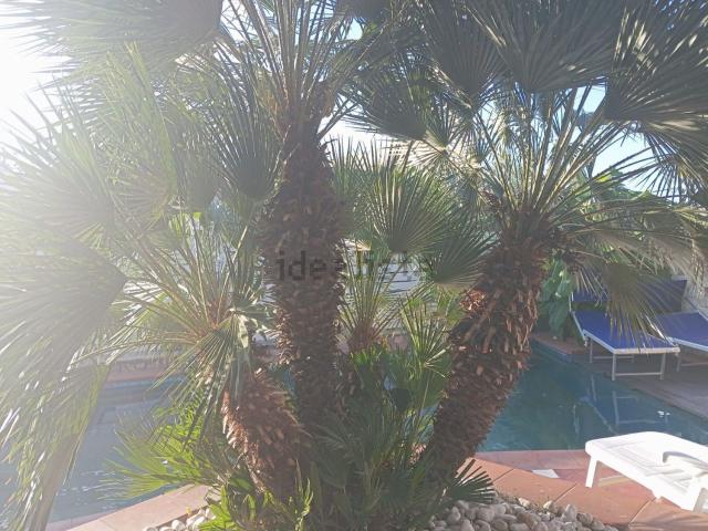 Casa in vendita a Pantano, Calabria
