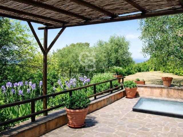 Casa in affitto a Monte Argentario, Pozzarello