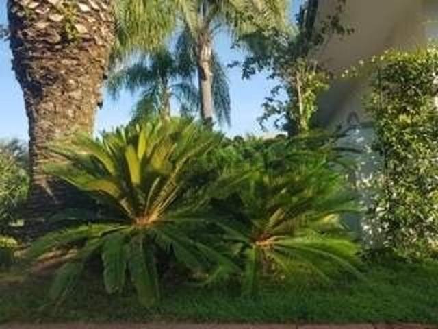 Casa in affitto a Caranna, Forte Dei Marmi