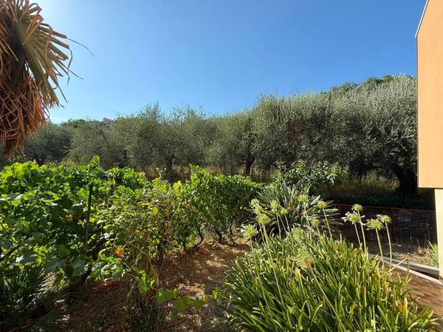 Casa in vendita a Ortovero, Liguria