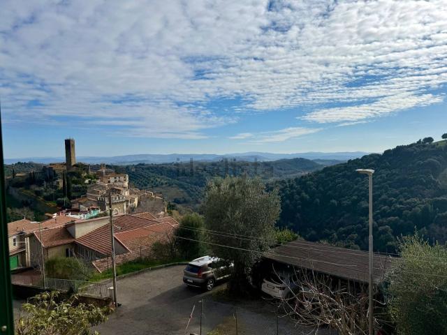 Casa in vendita a Magliano In Toscana, Toscana